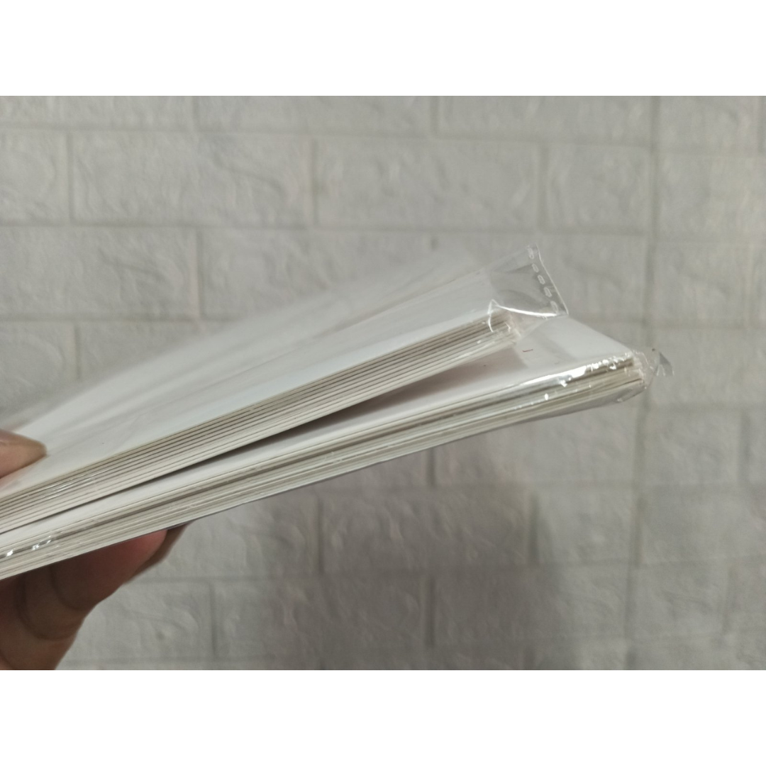 Glueboard Decora Standard white Flytrap for Dining 10pcs per pack
