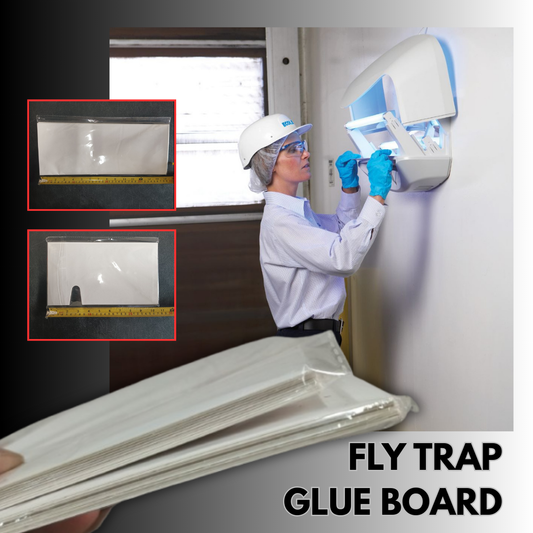 Glueboard Decora Standard white Flytrap for Dining 10pcs per pack
