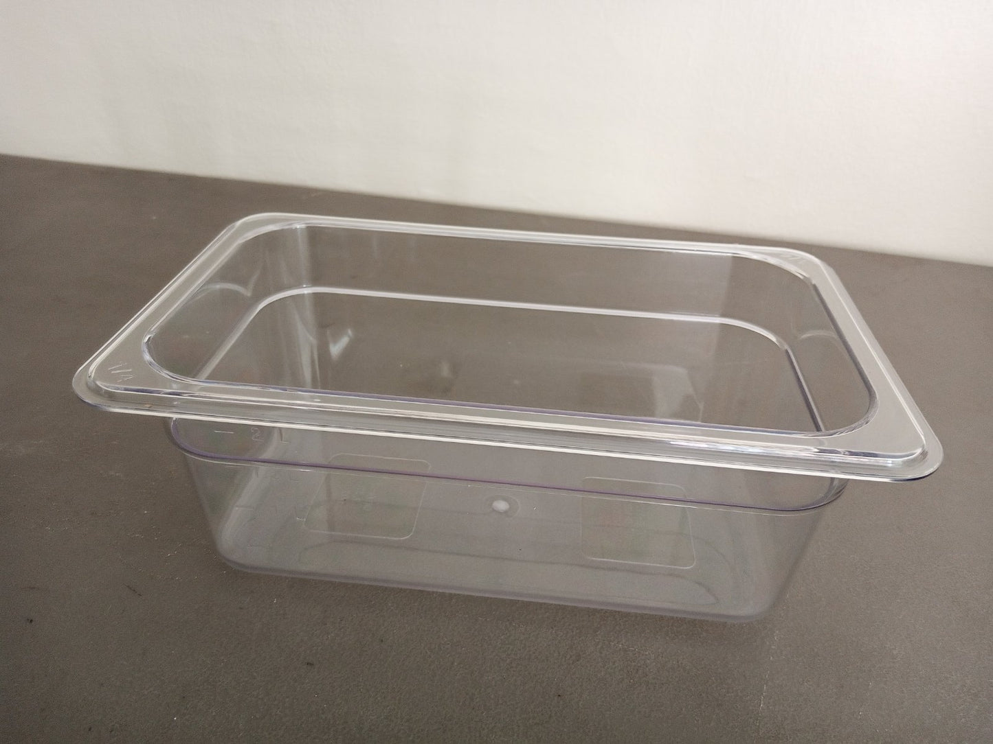 Food Pan 1/4 Clear for Holding Chilled Items