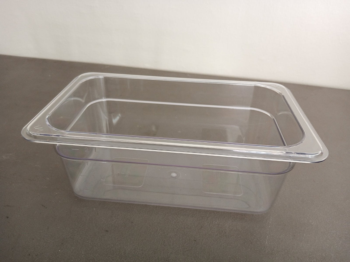 Food Pan 1/4 Clear for Holding Chilled Items